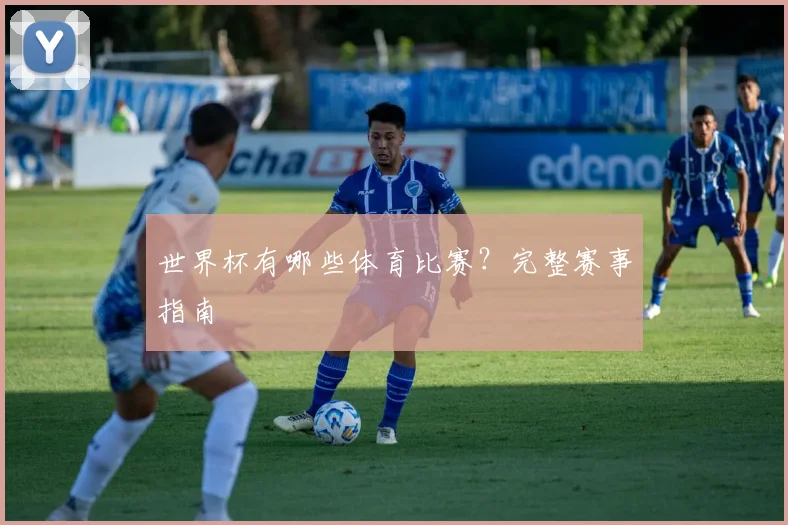 世界杯有哪些体育比赛？完整赛事指南
