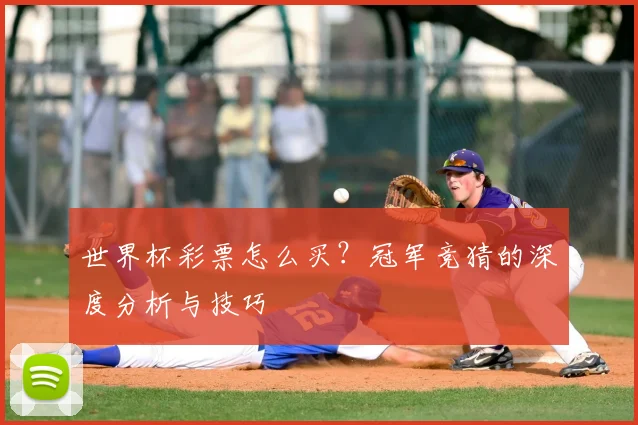 世界杯彩票怎么买？冠军竞猜的深度分析与技巧