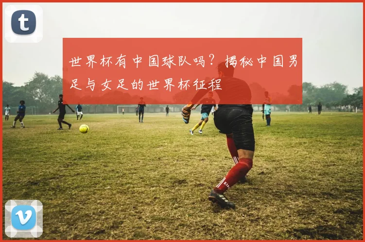 世界杯有中国球队吗？揭秘中国男足与女足的世界杯征程