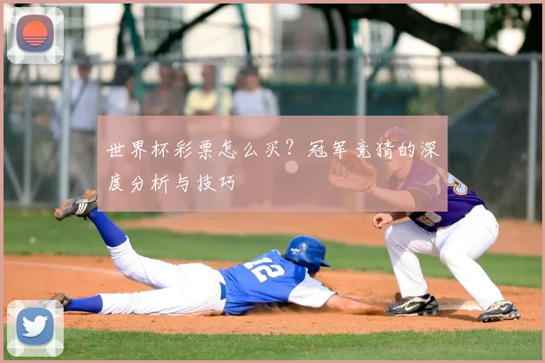 世界杯彩票怎么买？冠军竞猜的深度分析与技巧