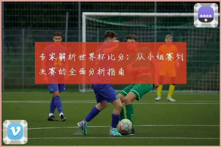 专家解析世界杯比分:从小组赛到决赛的全面分析指南