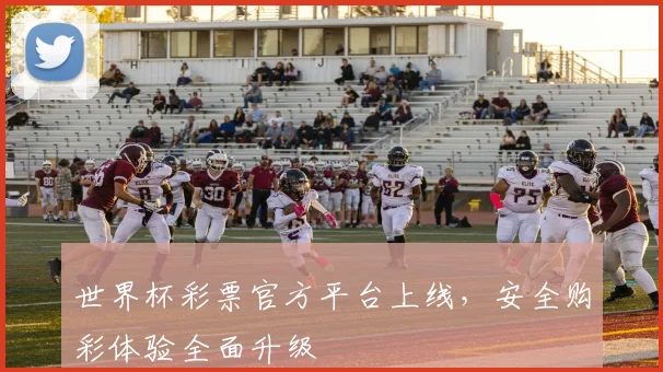 世界杯彩票官方平台上线，安全购彩体验全面升级