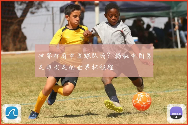 世界杯有中国球队吗？揭秘中国男足与女足的世界杯征程