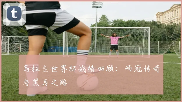 乌拉圭世界杯战绩回顾：两冠传奇与黑马之路